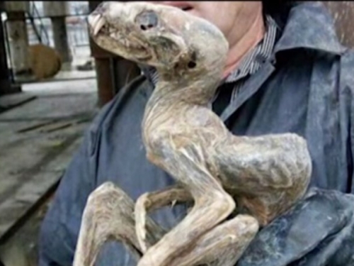 Sibirski rudari otkrili ostatke misterioznog "čudovšta"