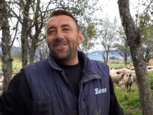 Video: Vrijedni supružnici proizvedu 3 tone ovčijeg sira