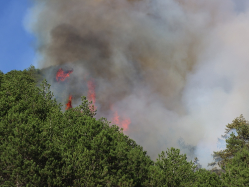 VIDEO/FOTO: Požar u Podboru - Vatrogasci nemoćni, borovina gori nekontrolirano