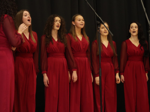 FOTO/VIDEO: U Prozoru održana manifestacija ''Mom gradu na dar''