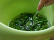 Genijalan kuhinjski savjet: Ovim postupkom peršin ostaje mirisan i zelen do 30 dana